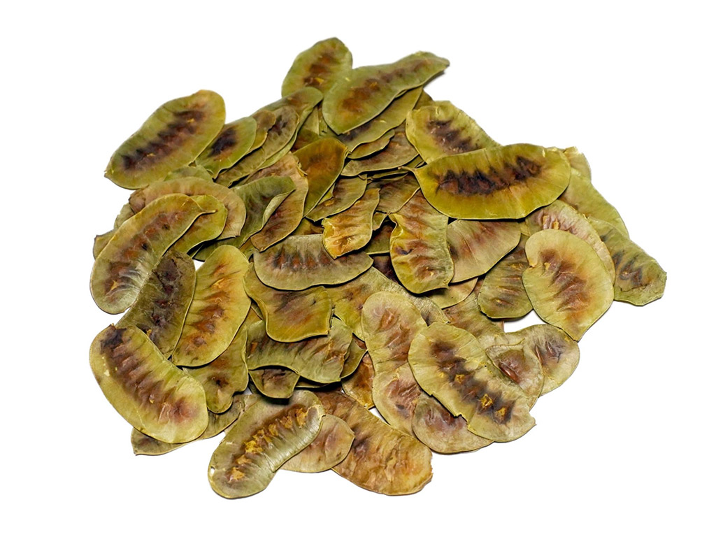 Senna Pods