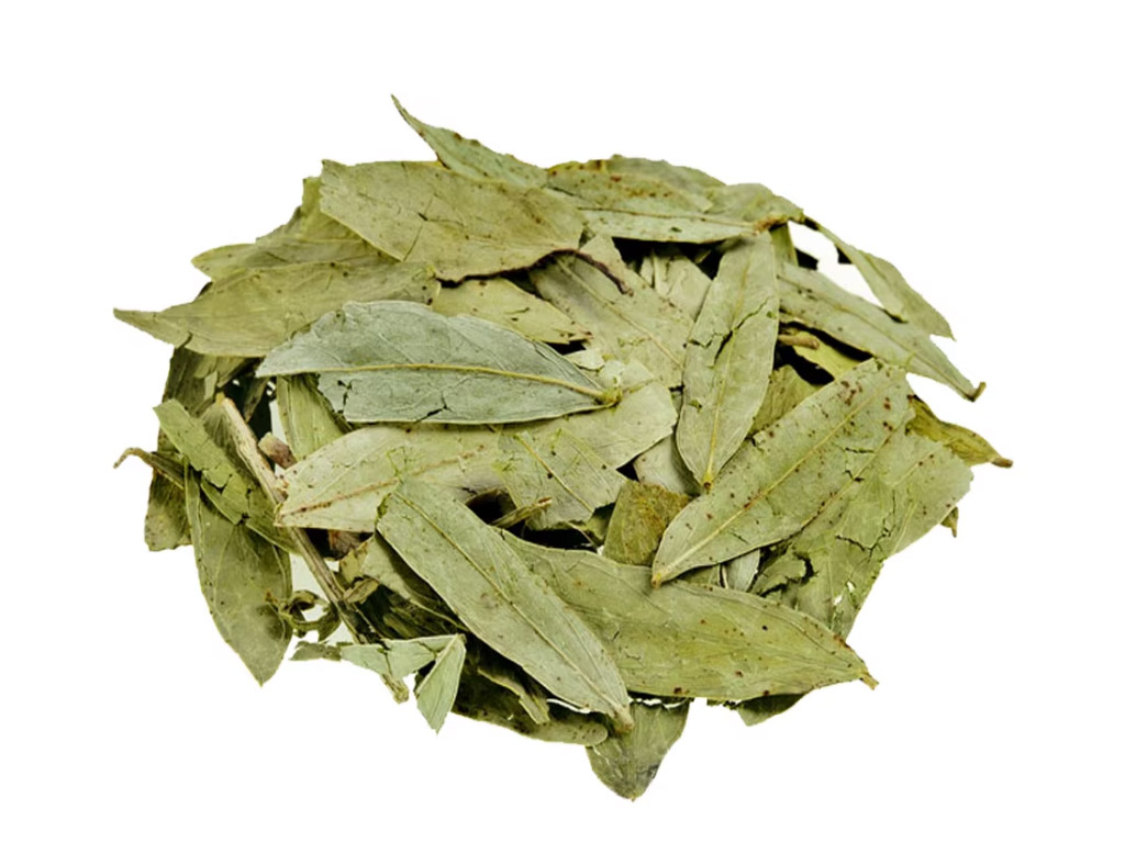 Senna Leaves